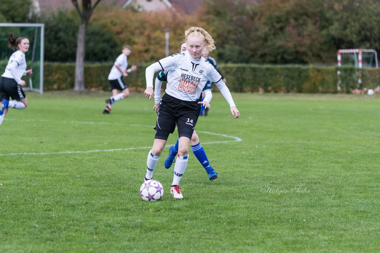 Bild 199 - B-Juniorinnen SV Henstedt Ulzburg - Hamburger SV : Ergebnis: 2:3